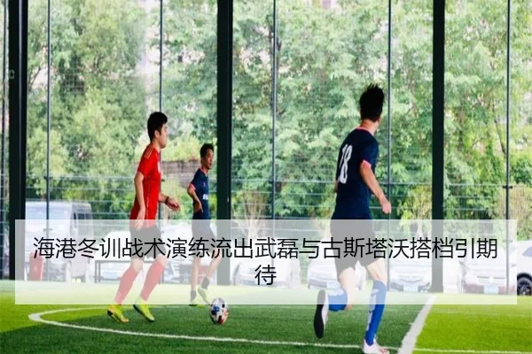 海港冬训战术演练流出武磊与古斯塔沃搭档引期待